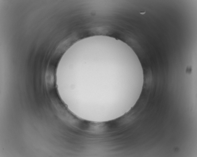 X0000113870334200910151307