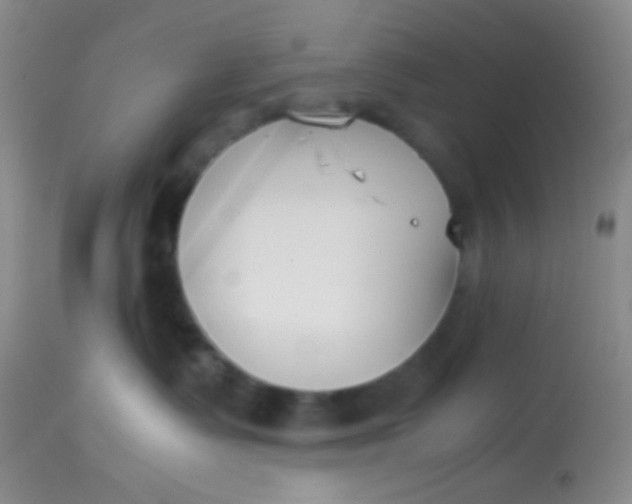 X0000113870335200910151307