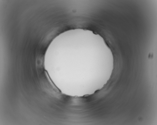 X0000113870336200910151307