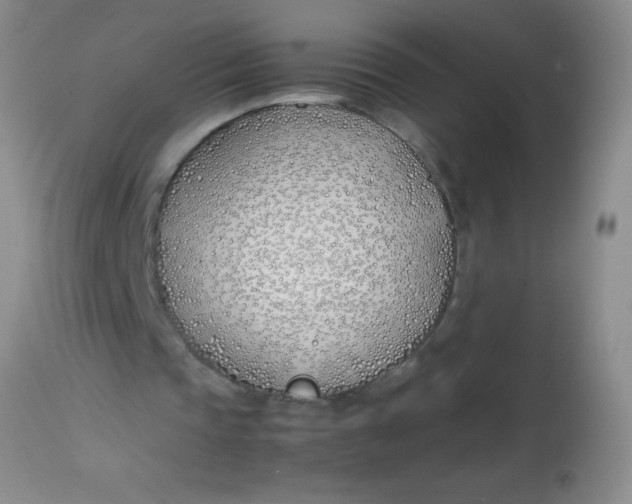 X0000113870337200910151306