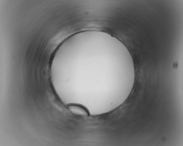 X0000113870338200910151306