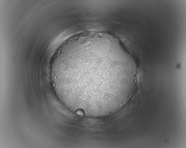 X0000113870339200910151306