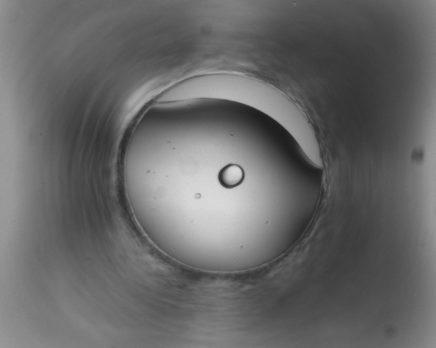 X0000113870340200910151306