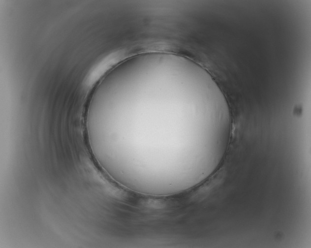 X0000113870341200910151306