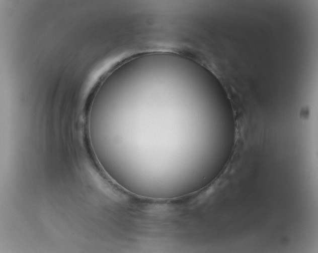 X0000113870342200910151306