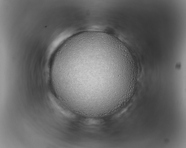 X0000113870343200910151306