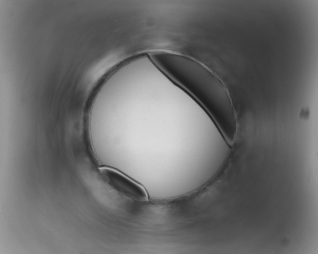 X0000113870344200910151306