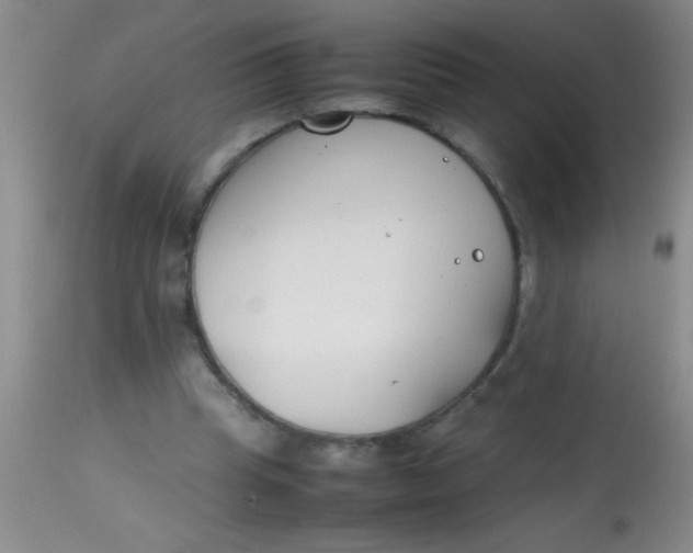 X0000113870345200910151306