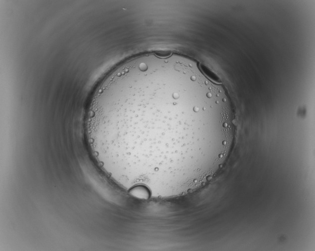 X0000113870346200910151306