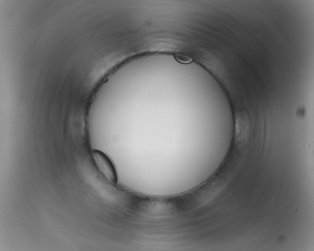 X0000113870348200910151306