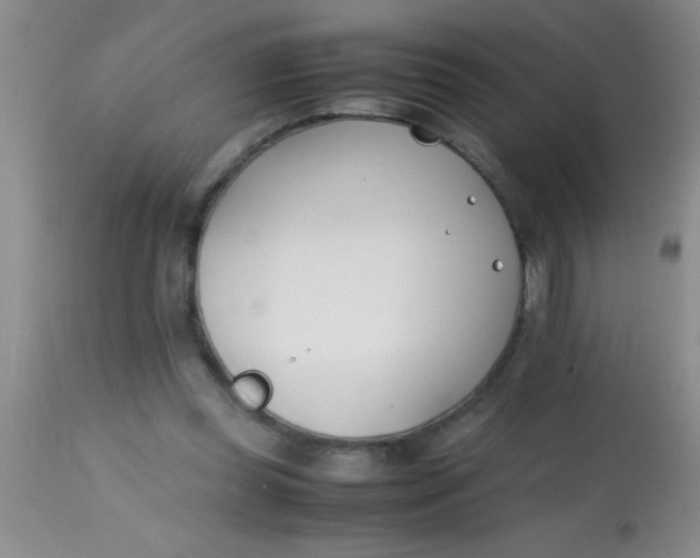 X0000113870349200910151306