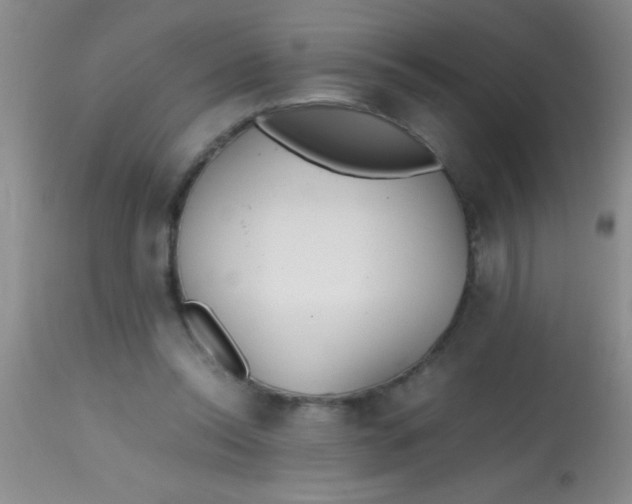 X0000113870350200910151306