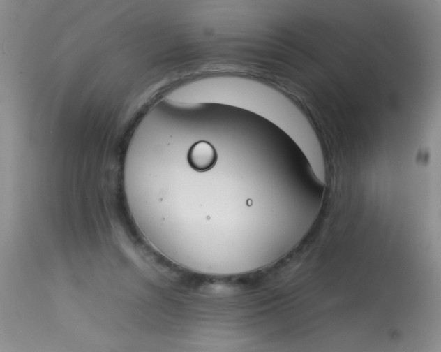 X0000113870352200910151306