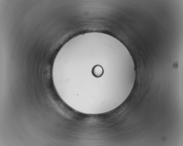 X0000113870356200910151306