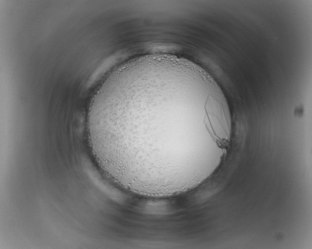 X0000113870357200910151306