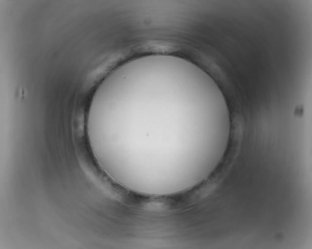 X0000113870358200910151306