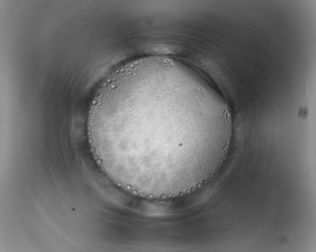 X0000113870359200910151306