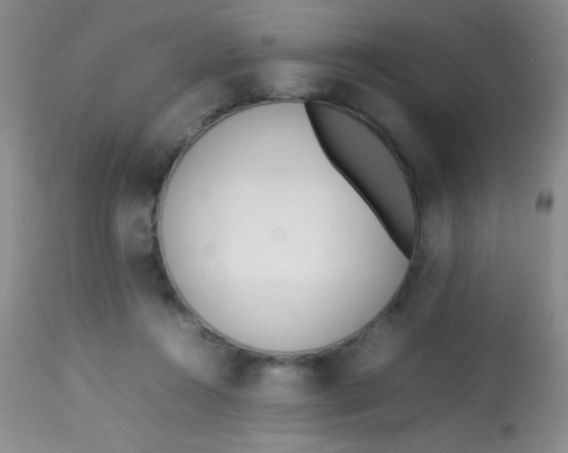 X0000113870360200910151306