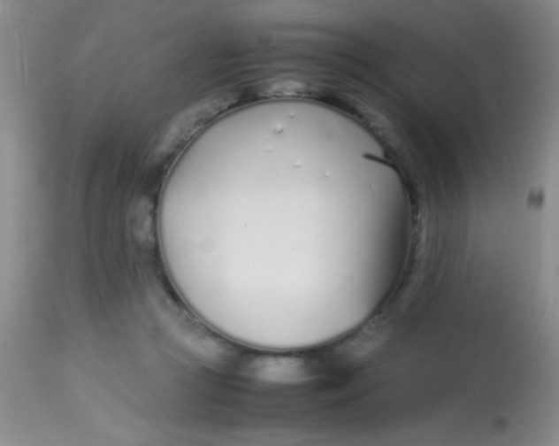 X0000113870361200910151306