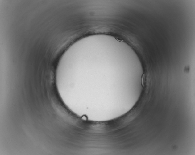 X0000113870362200910151306