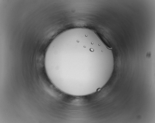 X0000113870364200910151307