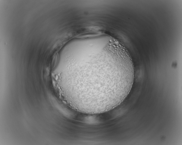 X0000113870365200910151307