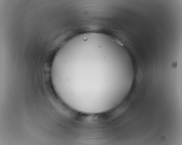 X0000113870366200910151307