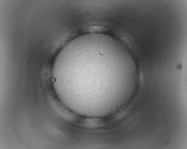 X0000113870367200910151307