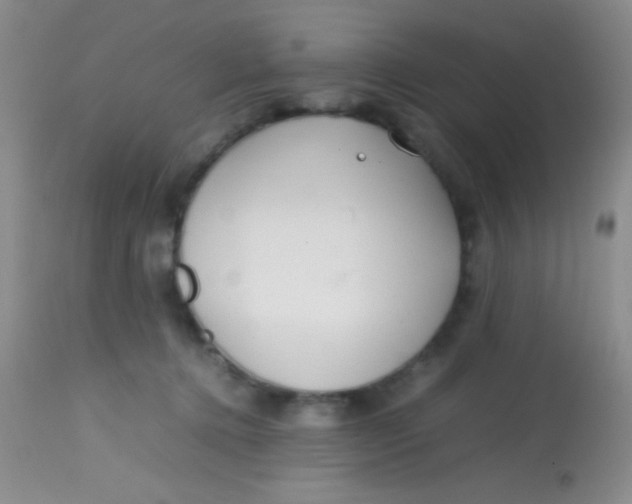 X0000113870368200910151307