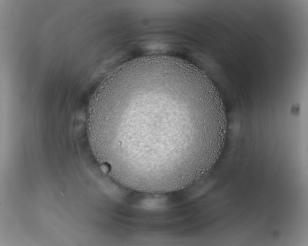 X0000113870369200910151307