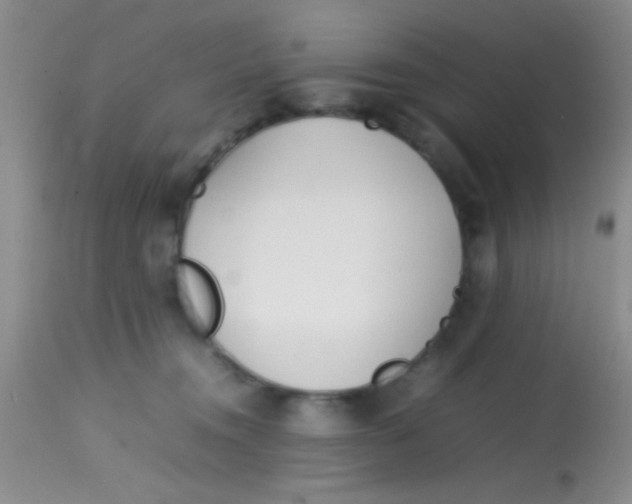 X0000113870372200910151307