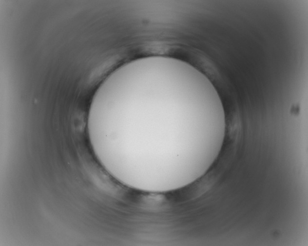 X0000113870374200910151307