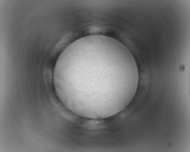 X0000113870375200910151307