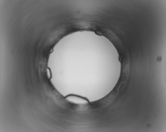 X0000113870376200910151307