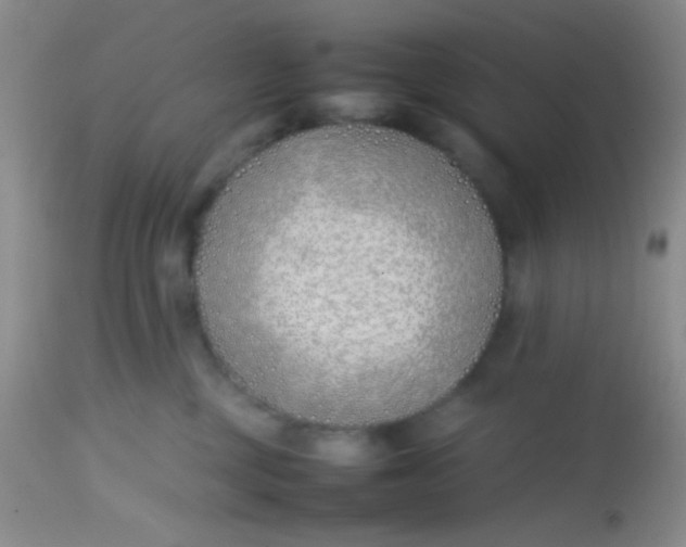 X0000113870377200910151307