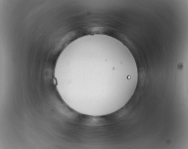 X0000113870379200910151307