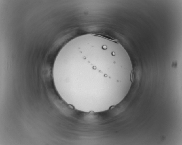 X0000113870380200910151307