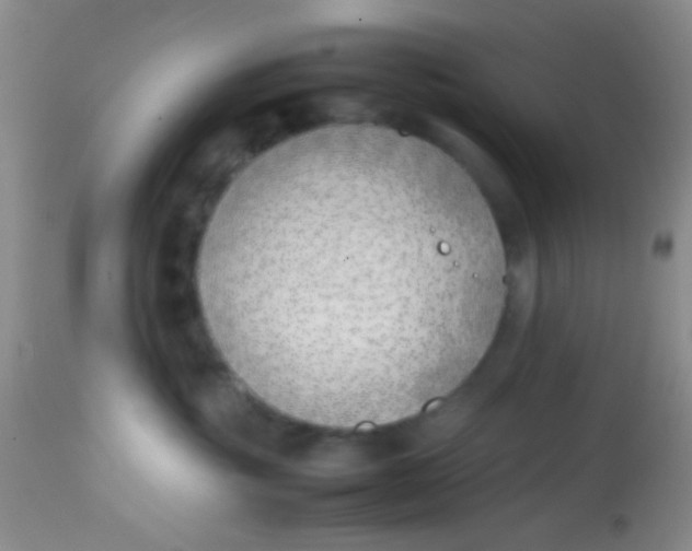 X0000113870381200910151307