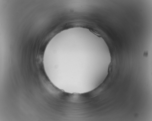 X0000113870382200910151307