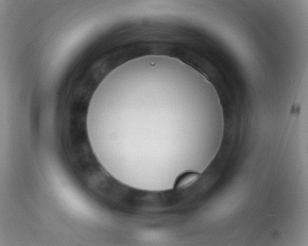 X0000113870383200910151307