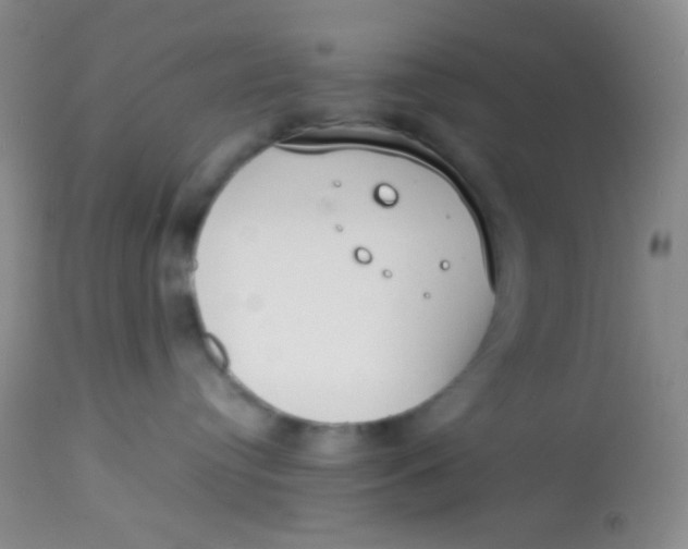 X0000113870384200910151307