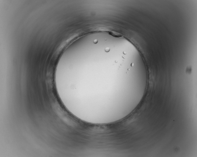 X0000113870386200910151306