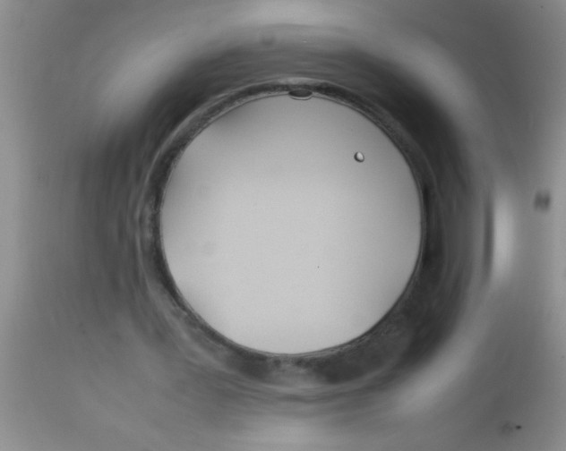 X0000113870387200910151306