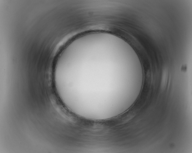 X0000113870388200910151306