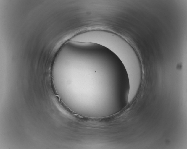 X0000113870389200910151306