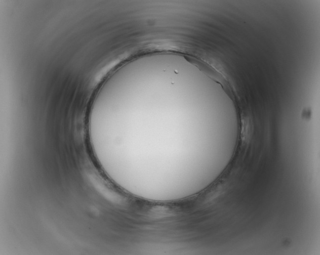 X0000113870390200910151306