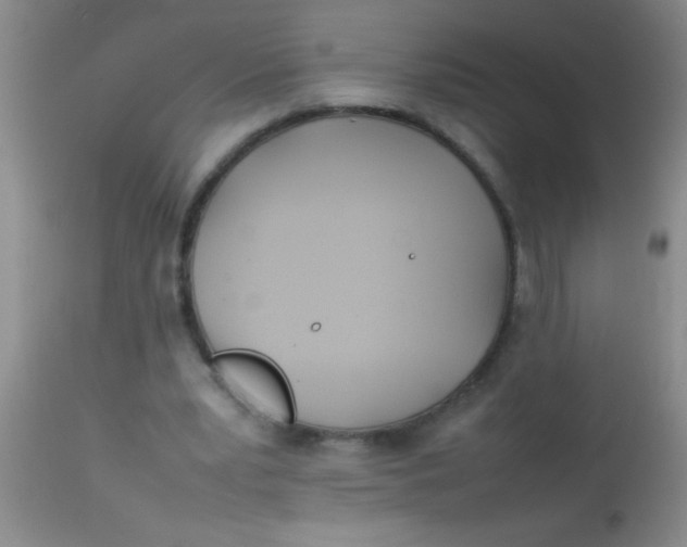 X0000113870391200910151306