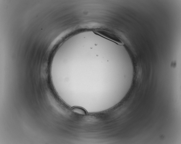 X0000113870392200910151306