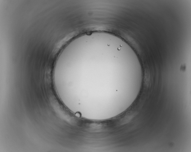 X0000113870394200910151306