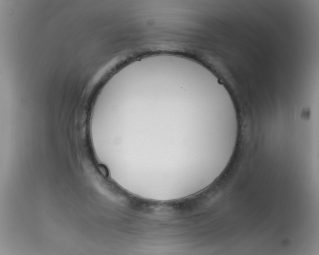 X0000113870395200910151306